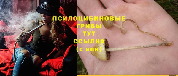 прущий лед Ладушкин