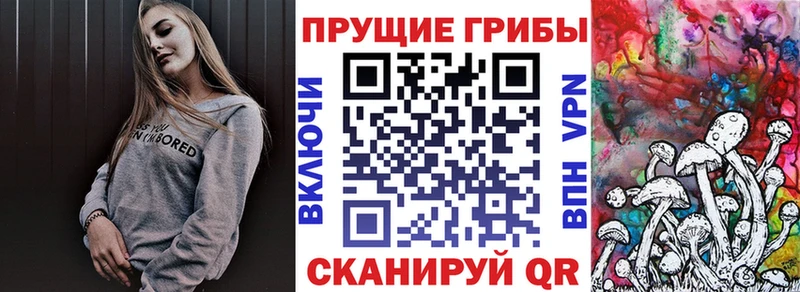 Галлюциногенные грибы Cubensis  Дыгулыбгей 