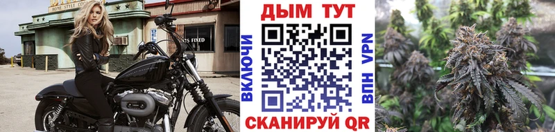 блэк спрут вход  Дыгулыбгей  Канабис THC 21% 